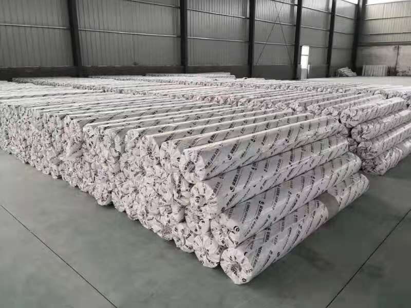 Dây chuyền sản xuất màng chống thấm tpo được gia cố
